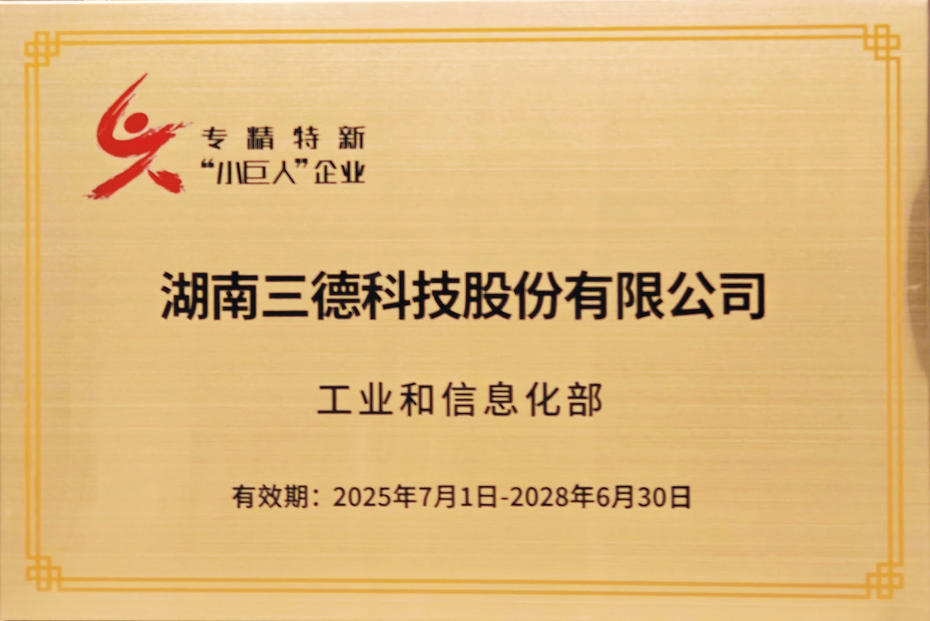 國(guó)家級(jí)專家特新小巨人企業(yè)